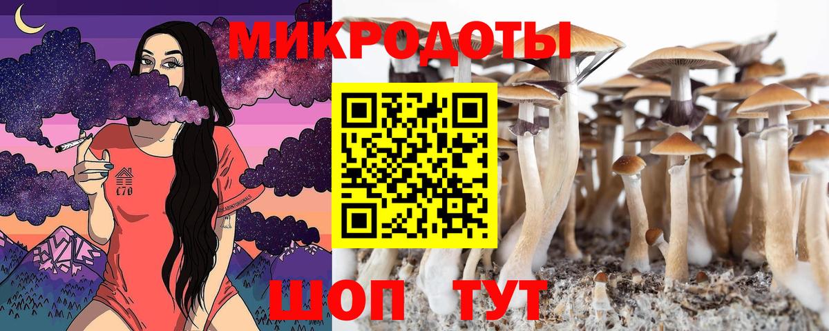 Кулебаки  Псилоцибиновые грибы MAGIC MUSHROOMS  Вход с VPN 